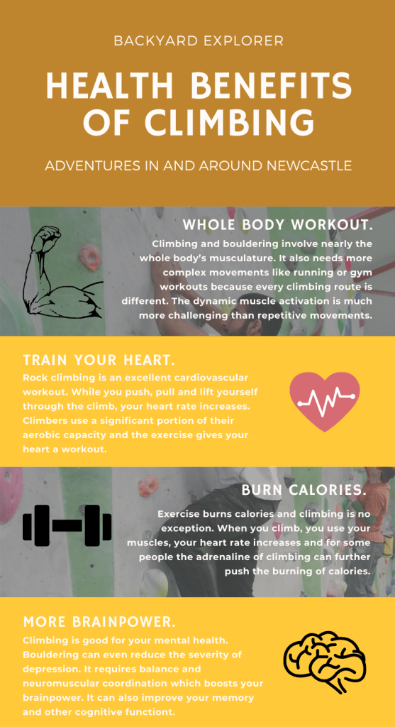 Infographic CLimbing