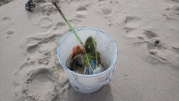 Litter from a beach clean.
