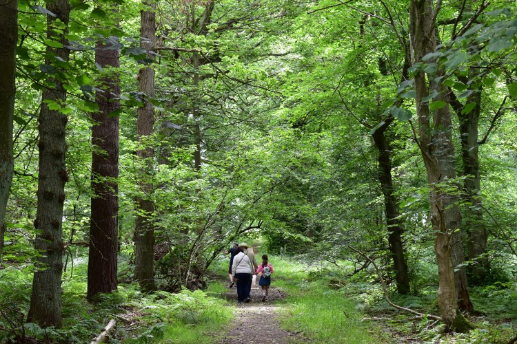 People walking through GNR